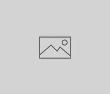 Managed Services
